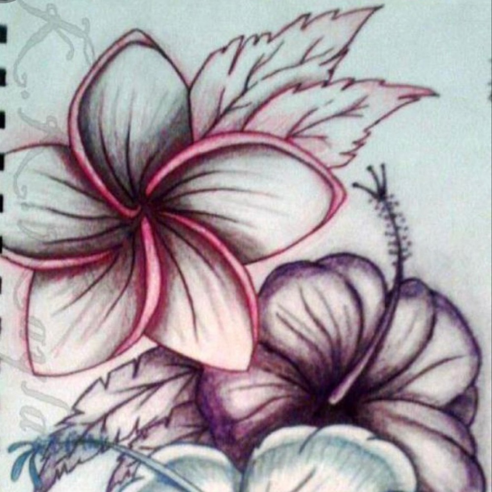 Meet your Posher, Paula